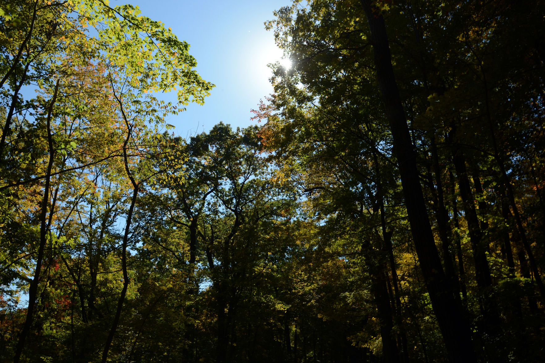 Baraboo area fall color, Oct. 8, 2020
